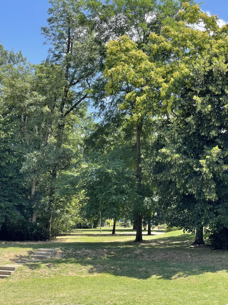 Meyzieu, une ville où la nature a toute sa place